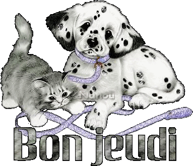 coucou